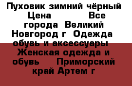 Пуховик зимний чёрный › Цена ­ 2 500 - Все города, Великий Новгород г. Одежда, обувь и аксессуары » Женская одежда и обувь   . Приморский край,Артем г.